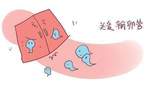 输卵管堵塞对女性的危害